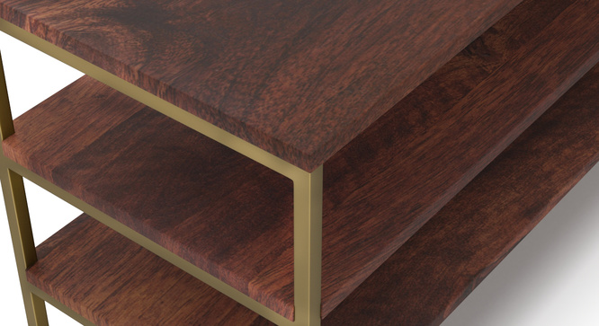 Bautista TV Unit